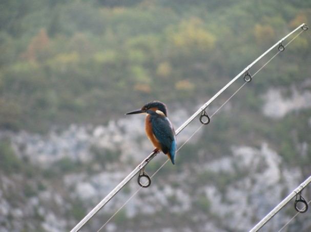 Blog-Mark-Hofman-sfeer