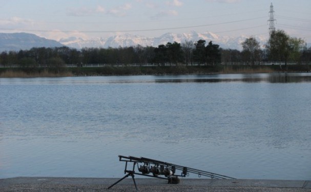 mark1_ea93ac1077c5acf93f1cb30c801df69e