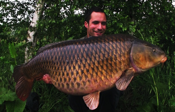 Peter-Schouten-schub