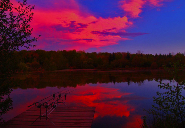 The-Carp-Specialist---Carp-Zwolle---KWO---Windmill-Lake-1.jpg