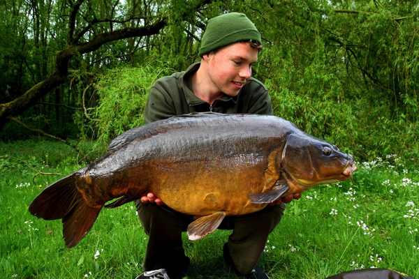 Carpboard Jasper de man 1