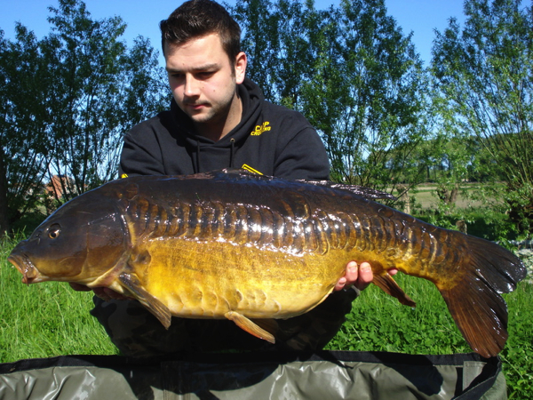 Carpboard Kenneth tetaert