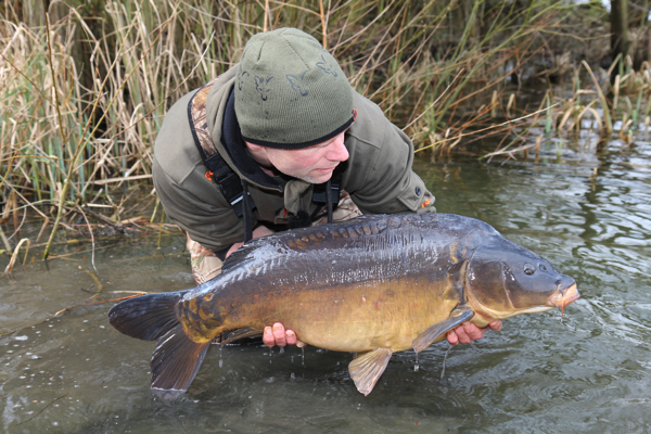 Fox molen mark Noorman