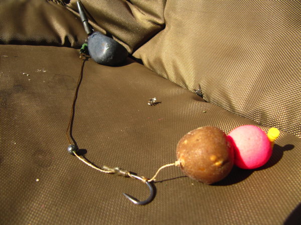 boul 31 Bas Corton preview1