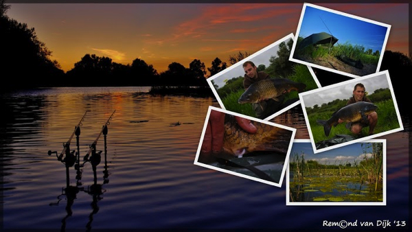 boul 31 foto vd week