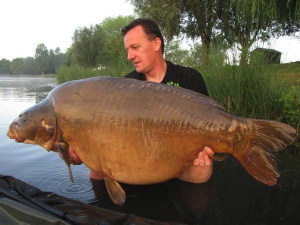 Warbaits Koen vanhamme teaser