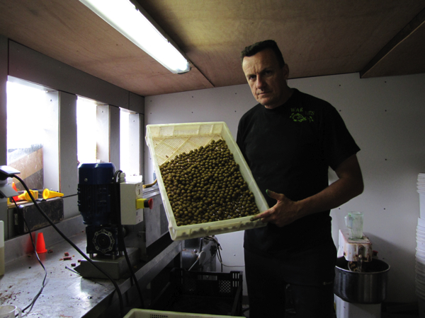 Warbaits productie 2