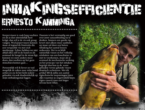 Jinsiy olatni qinga kiritish