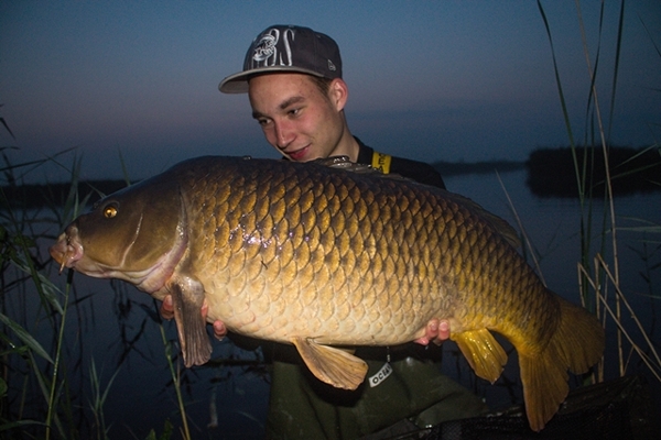 KM-Davey-Gans-Aanrommelen600