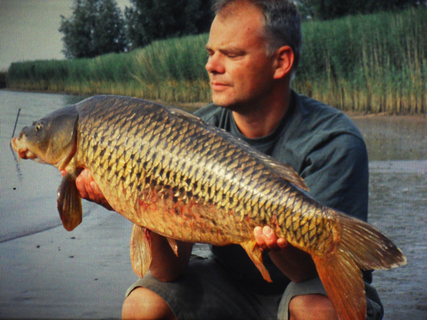 Kees-Verheij-coole-schub