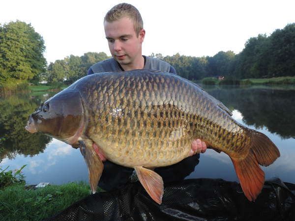 Willem-Kwinten-Hongaar