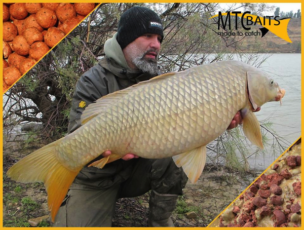 MTC-Baits-Barrie-Wispels