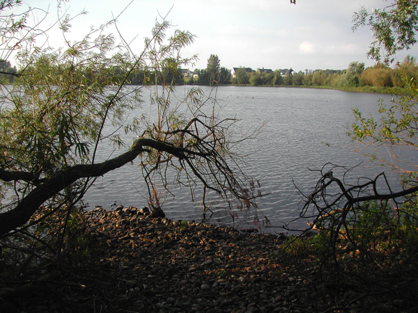 Mark-Hoedemakers-water