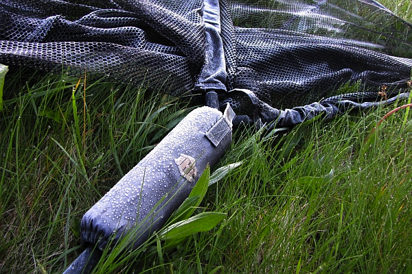 Roelof-bevroren-gras