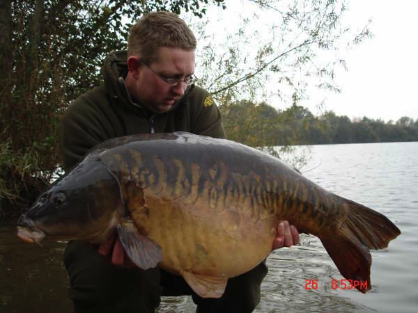 Carpworld-karper