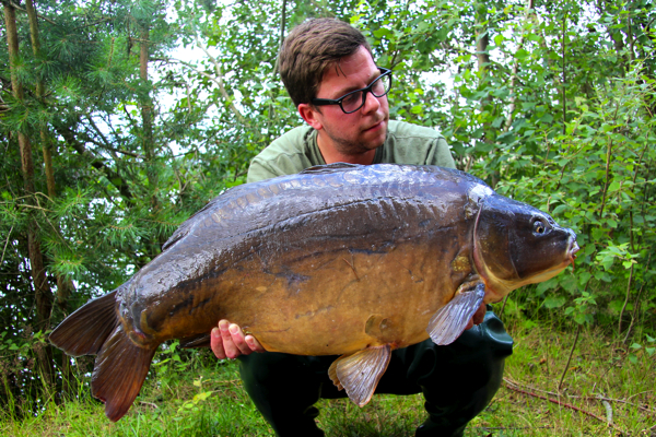 Carpworld-rogier
