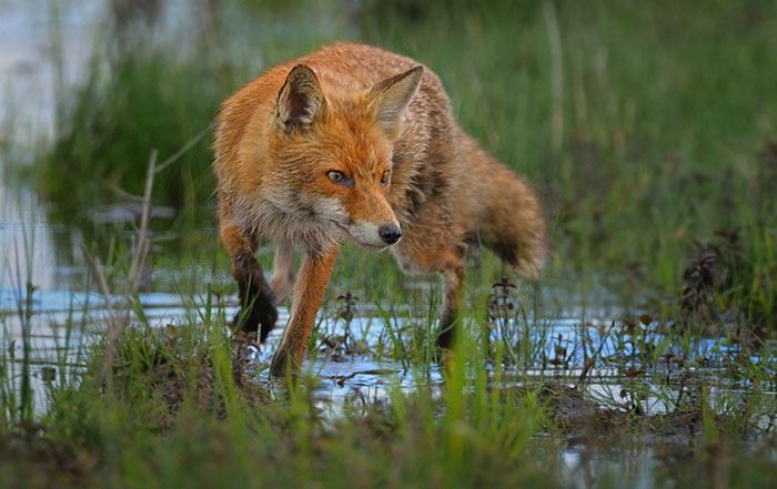 nog-wat-te-halen-hier