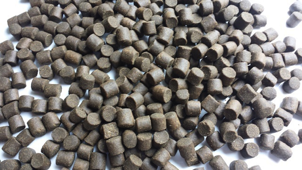 Rotterdam-visaas-pellets