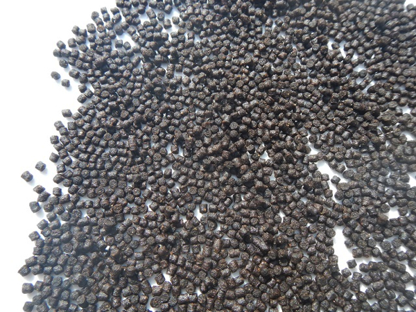 Rotterdam-visaas-trouvit