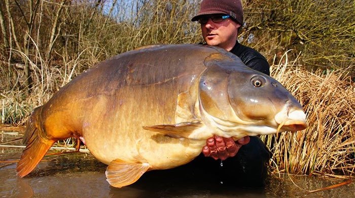 Alex Dubernard met een prachtige 65 ponds spiegel van openbaar water die sneuvelde op Superior Baits.