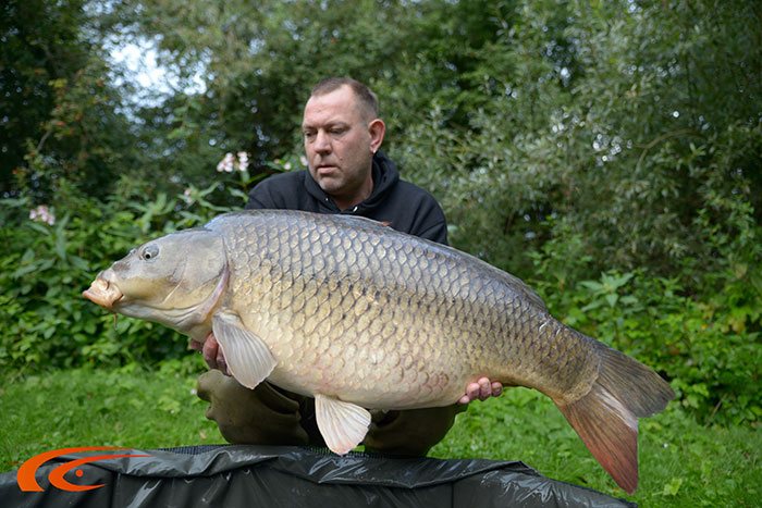 Uit de oude doos... Deze schub zwemt er waarschijnlijk niet meer.