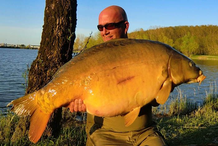 Wauw, wat een BAK! Dik 44 pond karpervlees.