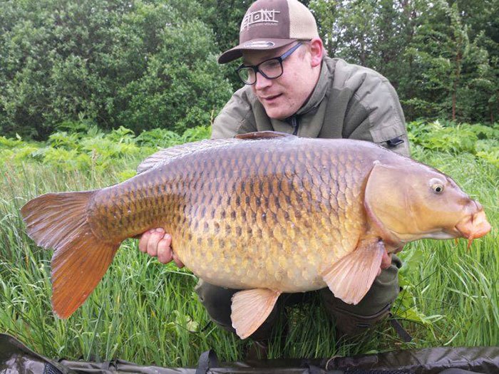 Gijs-Wijnholts-karper