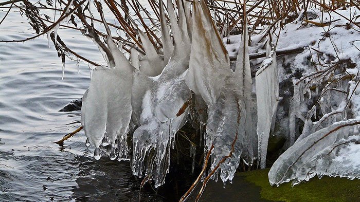 Hoe bedoel je bizarre omstandigheden..?
