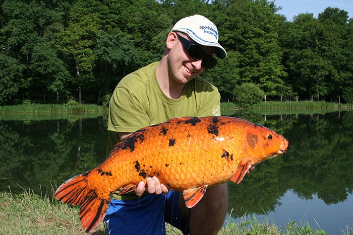 Gerben-Koopmans-Boux