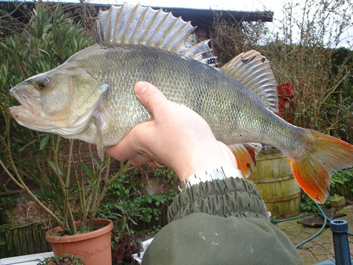 Huis-aan-het-water-3