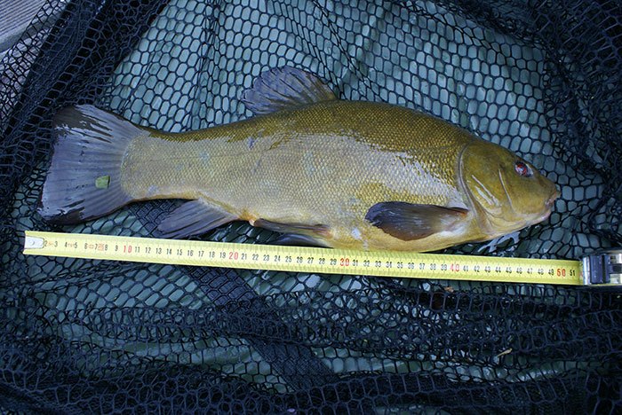 Huis-aan-het-water-4