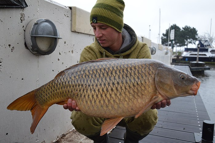 Niels-van-Vooren-winter-karper-8