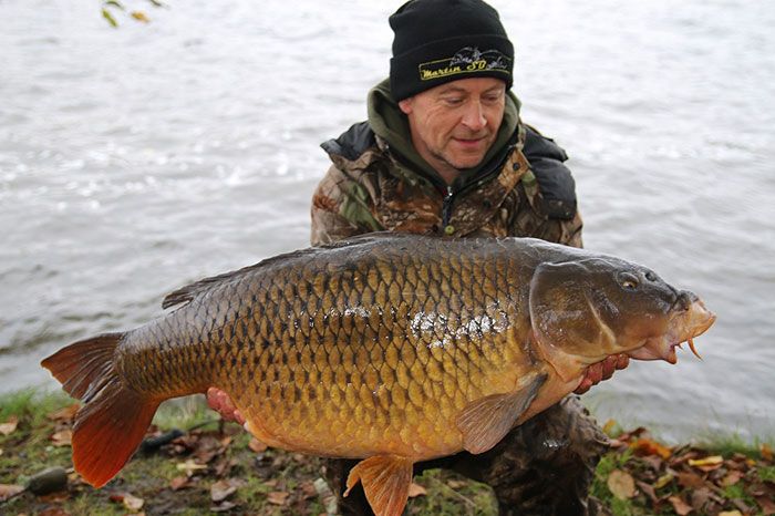 Reggy vangt de gehele winter door! #baas