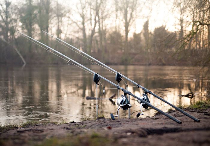 Wat kan vissen toch mooi zijn!
