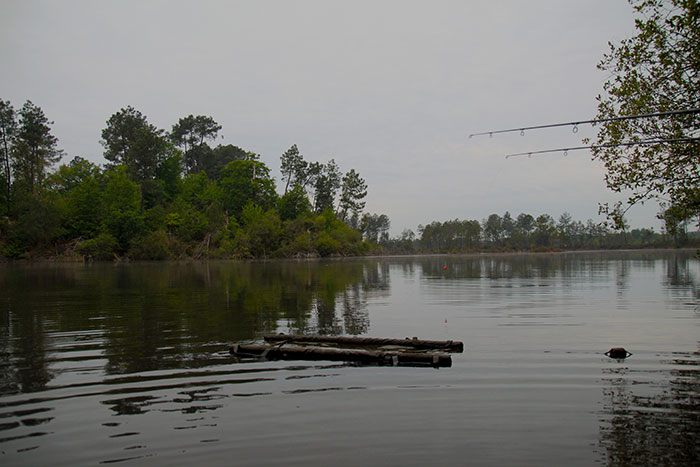 Ook Rainbow heb ik bevist, een bijzonder water in een fantastische natuur.