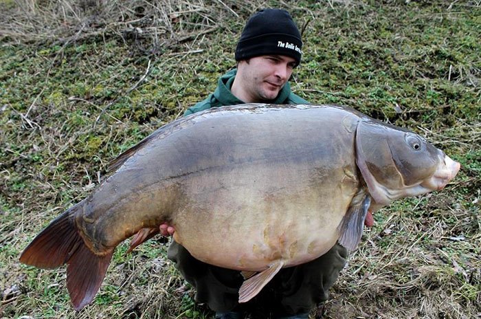 Ook in Belgie worden al mooie karpers gevangen! Wat dacht je van deze bak voor Sonny Steegmans?