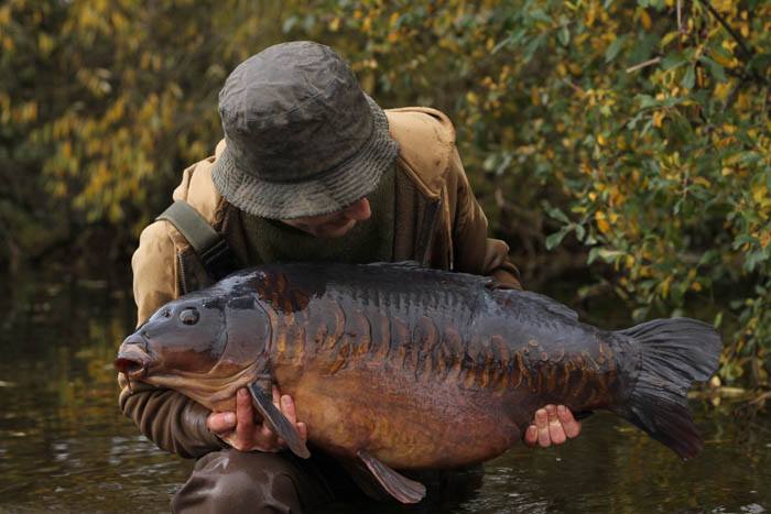 2-Tom-Stokes-A-Prayer-Answered