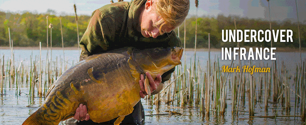 kwo-community-banner-homepage-mei