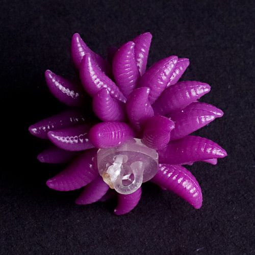 evolution-carp-tackle-maggot-ball-bait-purple