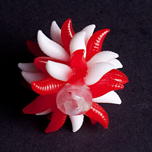 evolution-carp-tackle-maggot-ball-bait-red-white