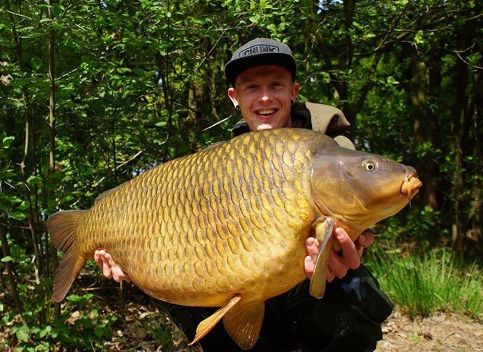 Een vis om in te lijsten! Alsof hij zo, nieuw, uit de verpakking komt!