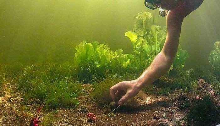 Op deze manier kan ik ook me rig plaatsen zoals ik dat zou willen. In dit geval onder toeziend oog van een kreeft  ;-)