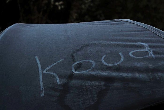 Brrrr, fris!
