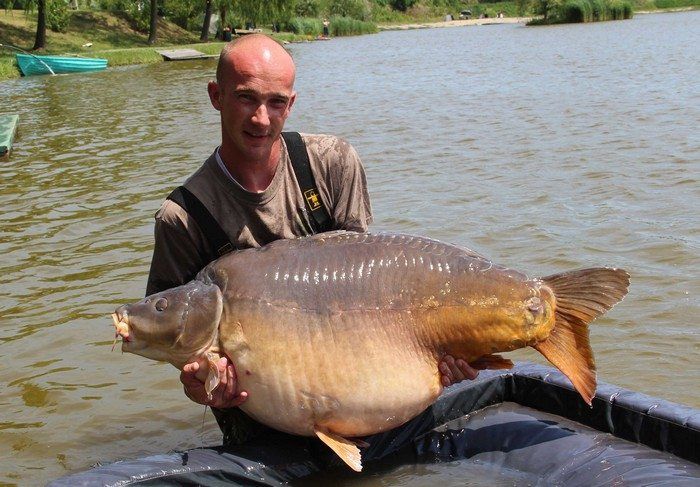 Chris Felton met een 42.2kg zware vis van Euro Aqua