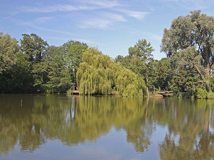 betaalwater-in-nederland-mystery-lake-thecarpspecialist2