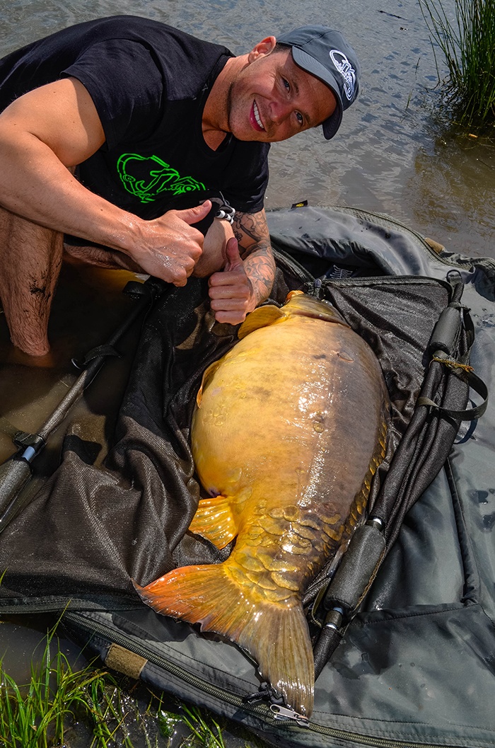 Grote karpers komen ook op ondiepe plekken..