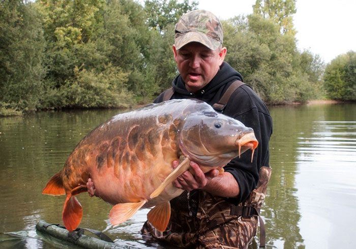 De Fully Scaled op 22,4 kg. Magic!