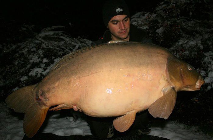 Kristof Cuderman stuurde ons deze Sloveense sneeuwkarper. Heel vet!
