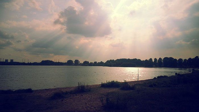 De openbare Limburgse wateren kunnen wel een boost aan karper gebruiken.