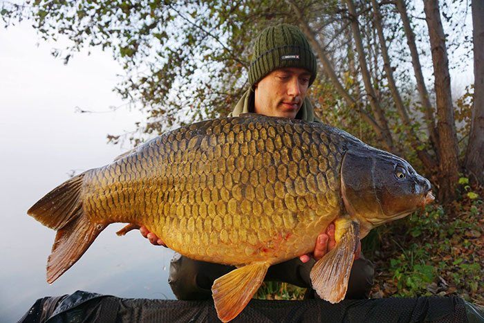 Onze man in Italië, Marco Balzola, blijft zijn voerstekken effectief afromen.